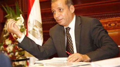الأمين العام لمجلس الشيوخ: الدستور منح الغرفة الثانية الحق فى اقتراح مشروعات قوانين