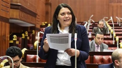 مارسيل سمير: لا توجد مخالفات تؤثر على مسار العملية الانتخابية
