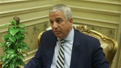 رئيس العلاقات الخارجية بالبرلمان يؤكد على عمق العلاقات الخارجية بين مصر والولايات المتحدة الأمريكية