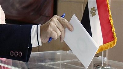 القومي لحقوق الإنسان يتابع فرز لجان التصويت بالمرحلة الثانية