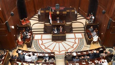تعرف على تفاصيل اختصاصات لجنة التعليم والبحث العلمي والاتصالات في شكلها النهائي لمجلس الشيوخ