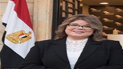 وكيلة الشيوخ للبرلمان: إستخدام 
