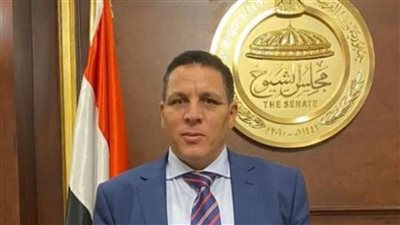 احمد محسن مصر تقود قاطرة التنمية الاقتصادية من بوابة التصنيع المحلي 