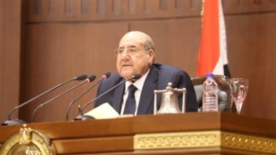 غدا.. البدء في إجراءات انتخابات اللجان النوعية بمجلس الشيوخ