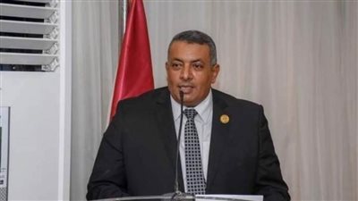 النائب علاء جاد:الدولة المصرية بدأت تجني ثمار نهضتها داخليا وخارجيا