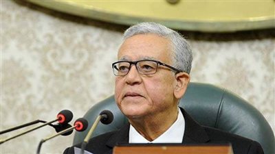 الشيشيني دائم الشكوى من عدم منحه الكلمة وغائب عن حضور الجلسات العامة