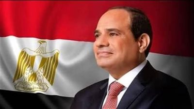 نواب: توجيهات الرئيس برفع أسماء 716 من قوائم الإرهاب انتصار للدولة المدنية وحقوق الإنسان