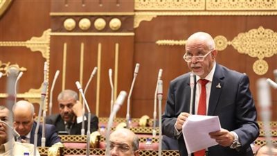 النائب حازم الجندي: جولة الرئيس السيسي الأوروبية تعزز حضور مصر الدولي وتعمق الشراكات الإستراتيجية