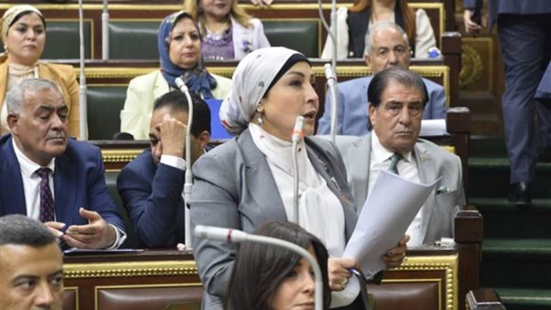 النائبة هالة أبو