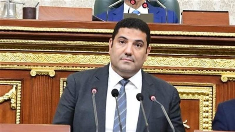 النائب أحمد عبد المجيد