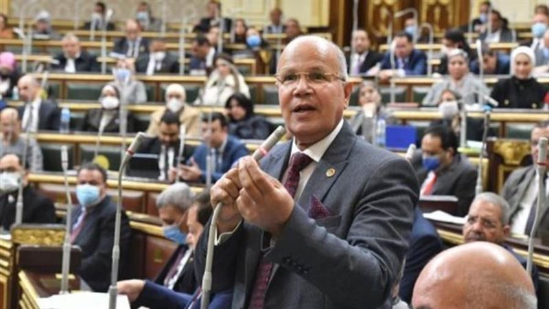 النائب السيد شمس