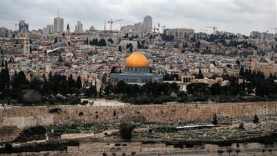 فرحات : فلسطين ستظل قضية الأمة… ومصر على رأس المدافعين عن حقوقها