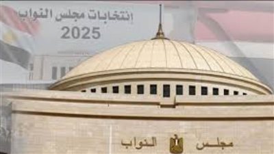 تنطلق غدًا بالداخل.. تفاصيل الإعادة بالمرحلة الثانية من انتخابات مجلس النواب 2025