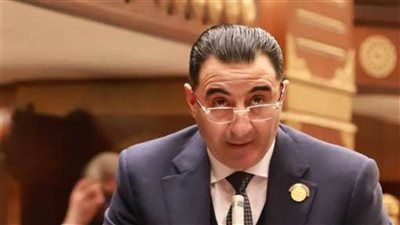 برلمانية المؤتمر تحذر من الشروط التعجيزية للقيد بنقابة المهن الرياضية وتطالب بمسارات لتوفيق الأوضاع