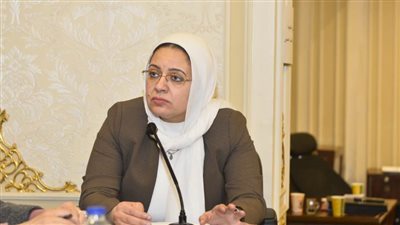 أول تحرك برلماني بعد حادث هويس إسنا.. ريهام عبد النبي تطالب بمحاسبة المسؤولين