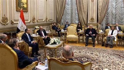 وزير الخارجية: لا دولة يحق لها أن تنصّب نفسها وصيًّا أو حاكمًا على مصر