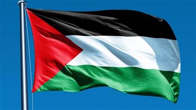المنظمة العربية لحقوق الإنسان تدين الاعتداءات الإسرائيلية على المسيحيين في حيفا ليلة عيد الميلاد