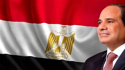 فرحات: لقاء السيسي وحفتر يؤكد ثبات الموقف المصري الداعم لليبيا ورفض التدخلات الخارجية
