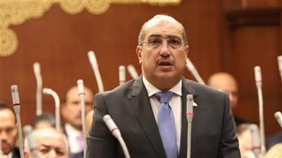 إيهاب وهبة: نجاح مصر في إدارة ملف غزة يفتح نافذة أمل للشعب الفلسطيني
