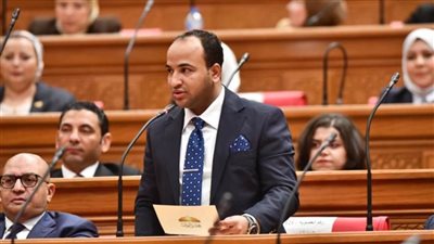 وسيم كمال عثمان: رسالة ترامب للرئيس السيسي تمثل تقديرًا دوليًا واضحًا للجهود المصرية