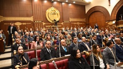 مجلس الشيوخ يوافق على ضوابط التظلم من قرارات الضرائب العقارية 