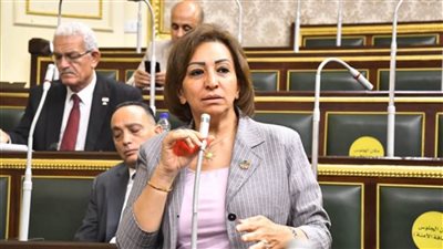 سؤال برلماني حول جدوى الملصق الإلكتروني واستمرار توقف المركبات على الطرق أثناء أوقات الذروة