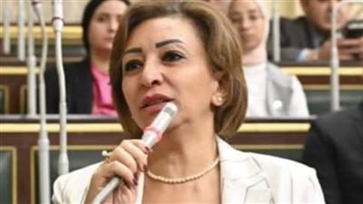 استدعاء ممثلي الحكومة نهاية يناير لمجلس النواب بسبب الغاء اعفاء هواتف المغتربين