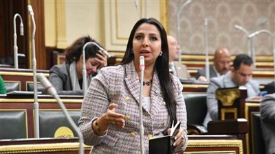 «السكن الآمن حق دستوري».. نشوى الشريف تتقدم بطلب إحاطة بشأن تصنيف المناطق ورفع القيم الإيجارية
