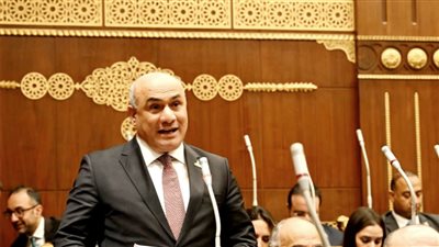 عضو الشيوخ: الدولة تتعامل مع ملف استخدام الأطفال للتكنولوجيا بوعي تشريعي