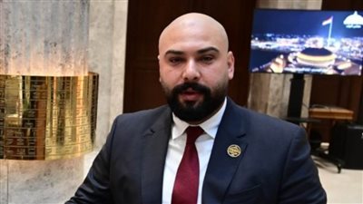 النائب إبراهيم الديب يقترح ضوابط لاستخدام الأطفال للهواتف والسوشيال ميديا