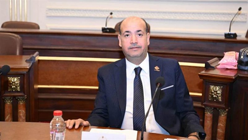 النائب أحمد سيد عضو