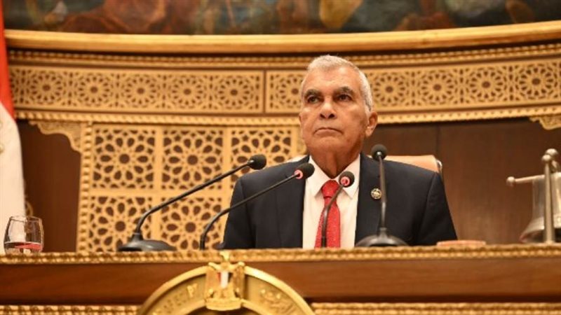 المستشار عصام الدين