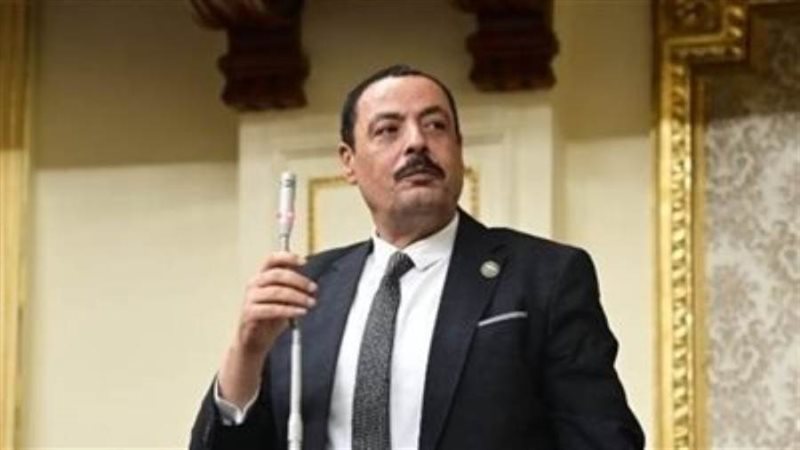 النائب أشرف أمين