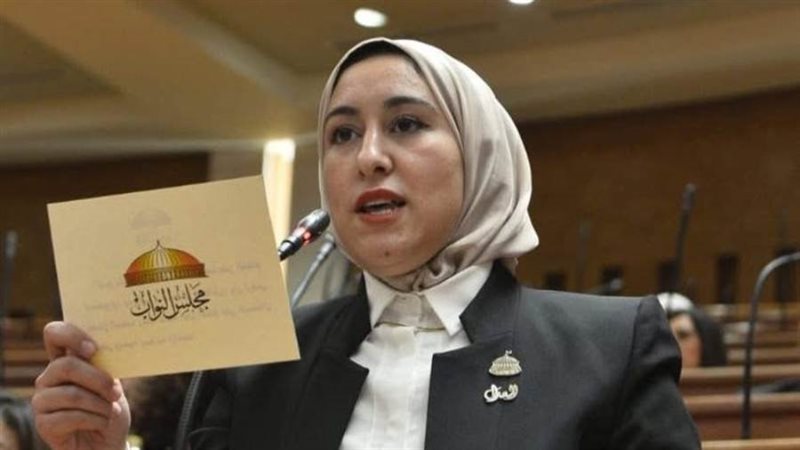 النائبة صافيناز طلعت