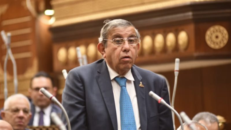 النائب علاء عبدالنبي