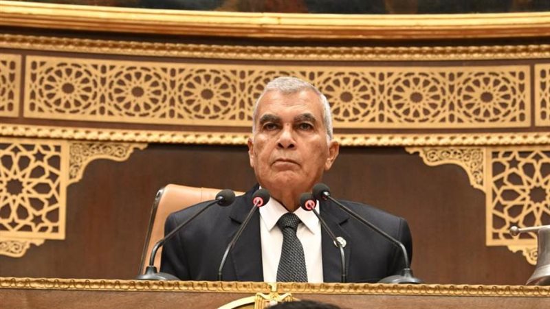 عصام فريد رئيس مجلس