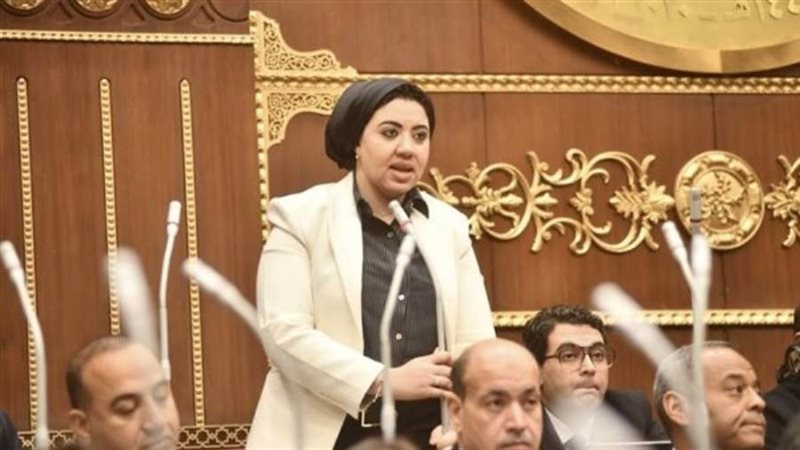النائبة أميرة صابر