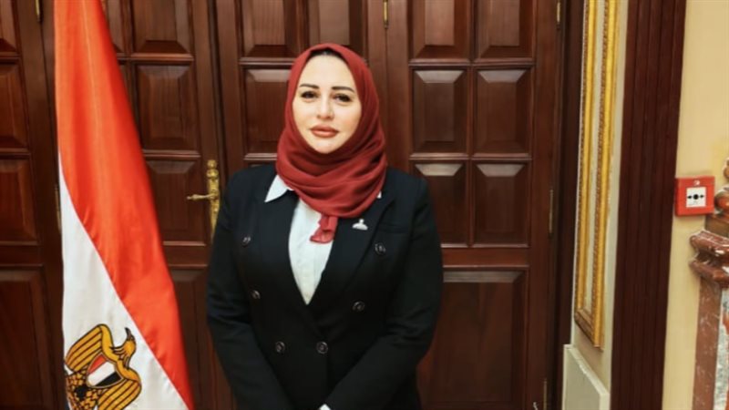 النائبة شيرين صبري