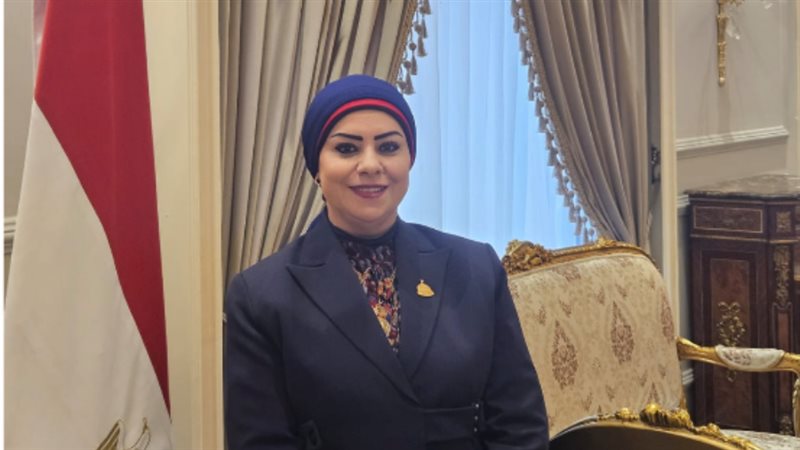 النائبة جيهان شاهين
