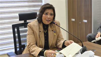 برئاسة النائبة راندا مصطفى.. تضامن النواب تفتح ملفات ذوي الإعاقة ودور الرعاية في أول اجتماعاتها