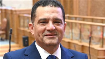 النائب أمير الجزار يطالب الحكومة بتحسين شبكات الهاتف المحمول والإنترنت في القرى والأرياف