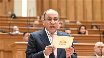 المحمدي: حماية وعي الأطفال مسؤولية مشتركة بين الأسرة والدولة والمجتمع