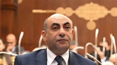 محمد إبراهيم موسى يطالب بتوحيد الرؤى الاقتصادية وتعزيز كفاءة الحكومة