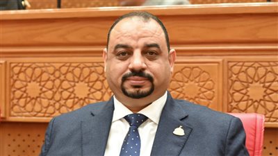 برلماني يطالب الحكومة بكشف خطة إدارة أصول المليارات بعد إلغاء وزارة قطاع الأعمال