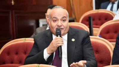 النائب محمد نوح: مناقشة عاجلة لتشكيل المجالس المحلية المنتخبة الأسبوع المقبل