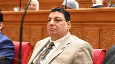 برلماني: انتخابات المجالس المحلية فرصة لتمكين الشباب والمرأة في العمل العام