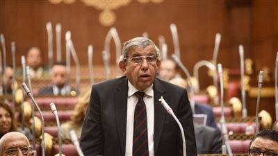 النائب علاء عبد النبي: العودة للمجالس المحلية تعزز العدالة الاجتماعية والمشاركة الشعبية