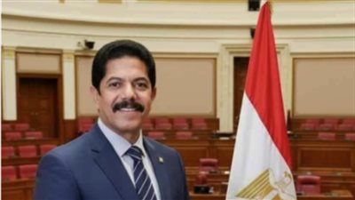 الحزمة الاجتماعية الجديدة.. الحديوي: القيادة السياسية تضع المواطن في قلب معادلة التنمية| خاص