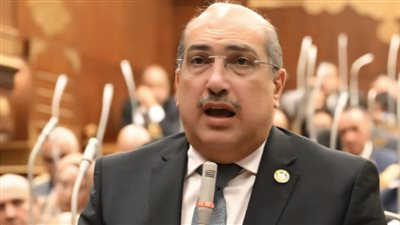 النائب إيهاب وهبة يحذر من مخاطر تغيير الجينات في عقول الأطفال بسبب السوشيال ميديا 