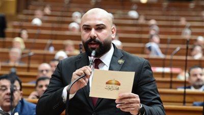 النائب إبراهيم الديب يطالب بسرعة إنجاز مشروعات الصرف الصحي بقرى مركز المحلة